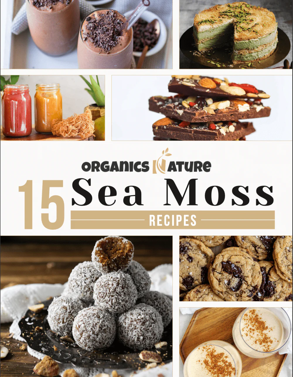 sea moss uses and recipes
